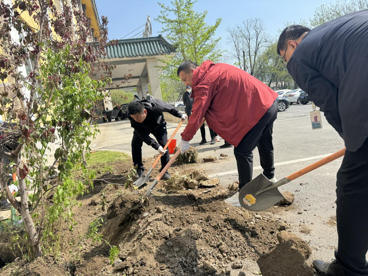 植樹造林添新綠，共創(chuàng)秀美鋼都景